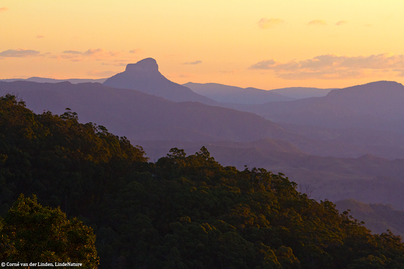 <!-- Lamington National Park, Queensland -->